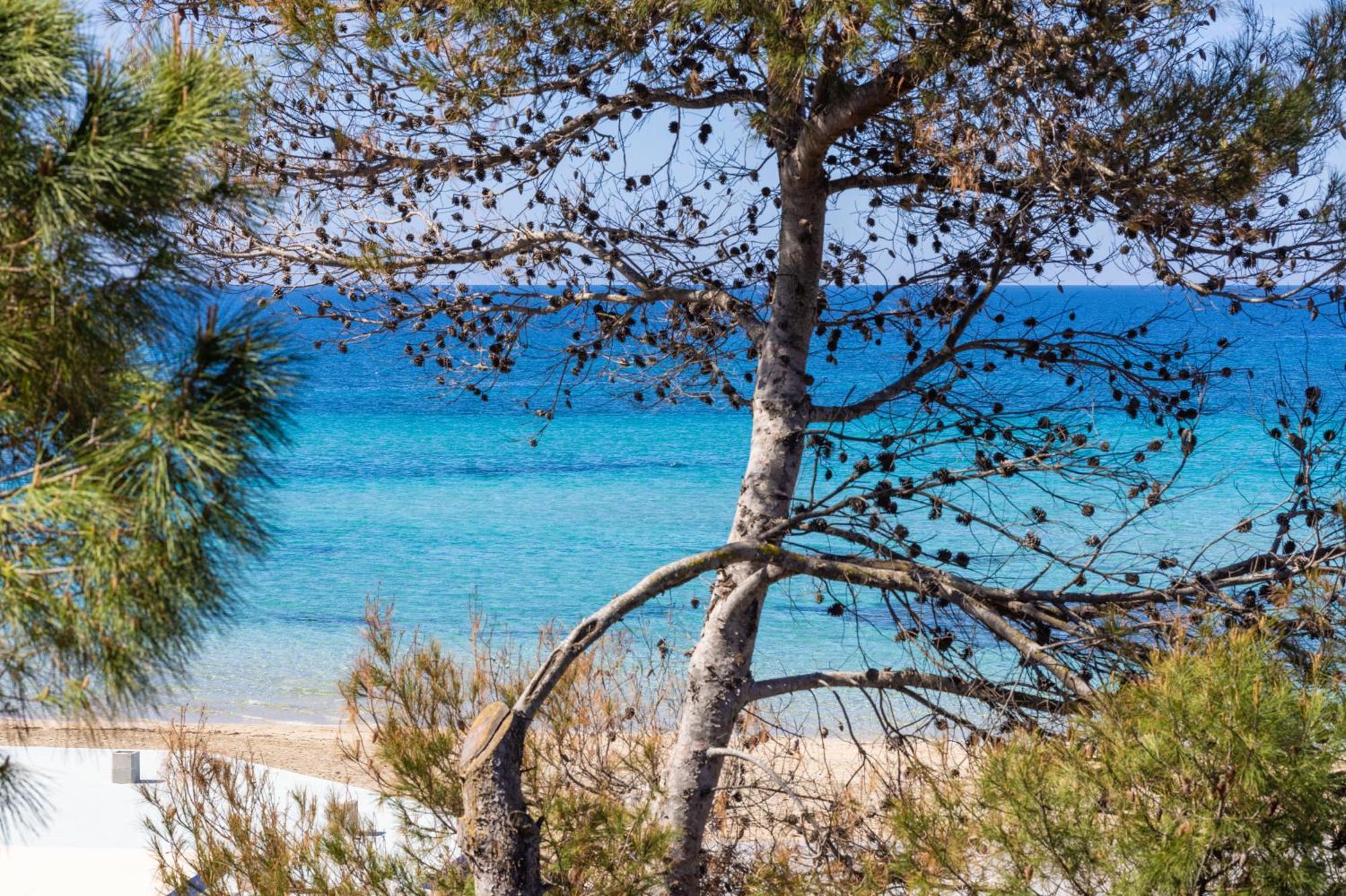 Luxury Suites & Apartment Con Accesso Alla Spiaggia E Parcheggio Privato - Vista Mare Lido Conchiglia ภายนอก รูปภาพ